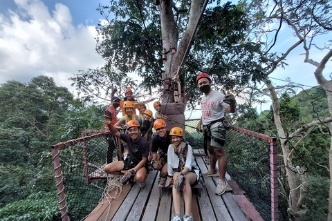 From Koh Samui: Tree Bridge Zipline and Café Experience