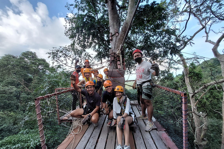 From Koh Samui: Tree Bridge Zipline and Café Experience