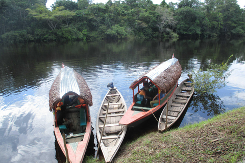 Pink dolphins,3 days 2 nights pacaya samiria Pacaya samiria-Pink dolphins-3 days nature