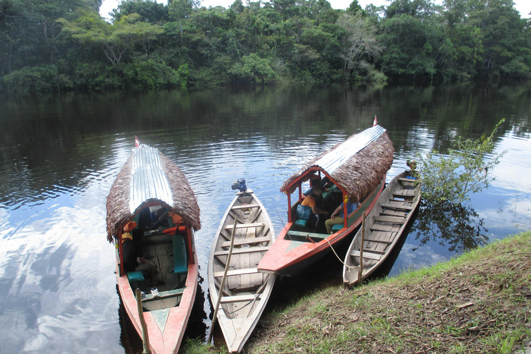 Pink dolphins,3 days 2 nights pacaya samiriaPacaya samiria-Pink dolphins-3 days nature