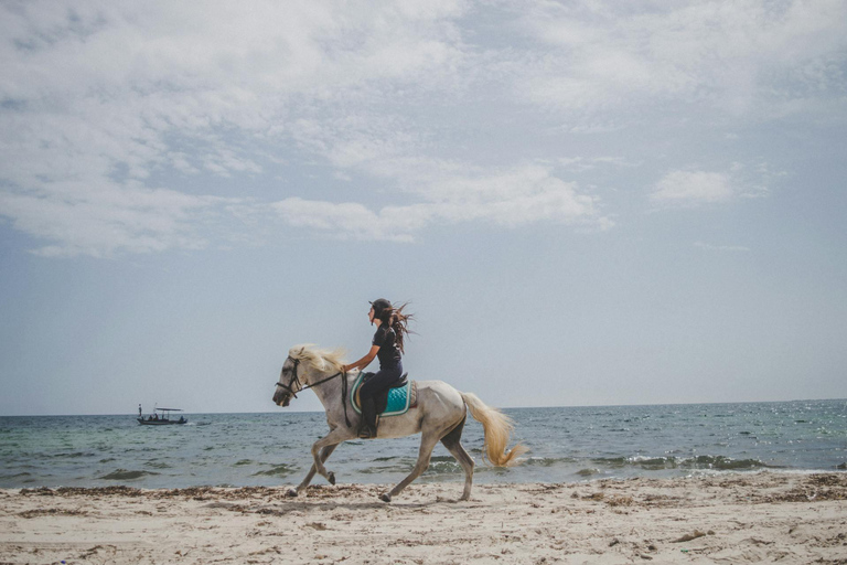 San Diego: 3-Hour Guided Beach Horseback Ride