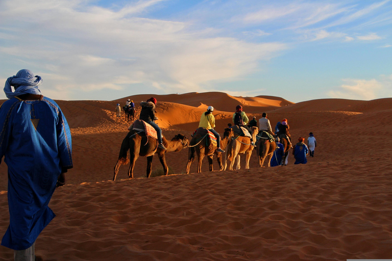 From Djerba: Oasis, Sunset in the Desert Dunes & Dinner in a 4x4 From Djerba: Oasis, sunset in the desert dunes & dinner in a 4x4
