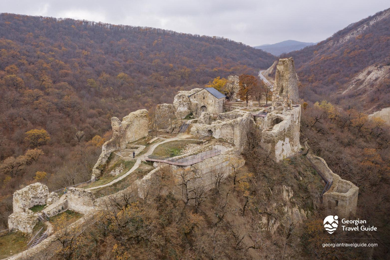 Tbilisi: Unique Kakheti Tour: Telavi, Winery & Monasteries
