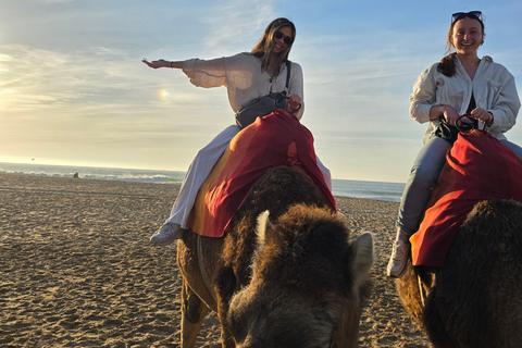 Camel Walk in Tangier