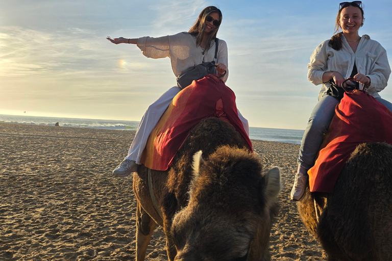 Utforska Tangier: Cap Spartel, grotta och äventyr med kamelridning