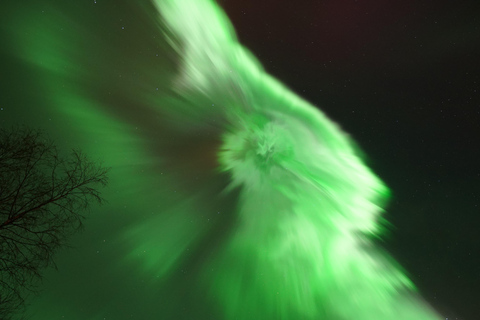 Rovaniemi Northern Lights – The Real Guaranteed Hunt