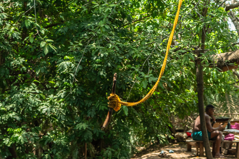 Città di Arusha, sorgente termale di Chemka, cascata di Materuni, tour del caffè