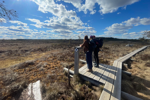 Helsinki: Full-Day Hike in Torronsuo’s Wild Bog
