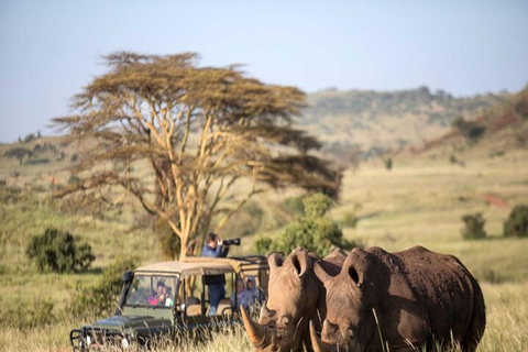 Nairobi: 2-dniowe safari na ranczu Solio z zakwaterowaniem