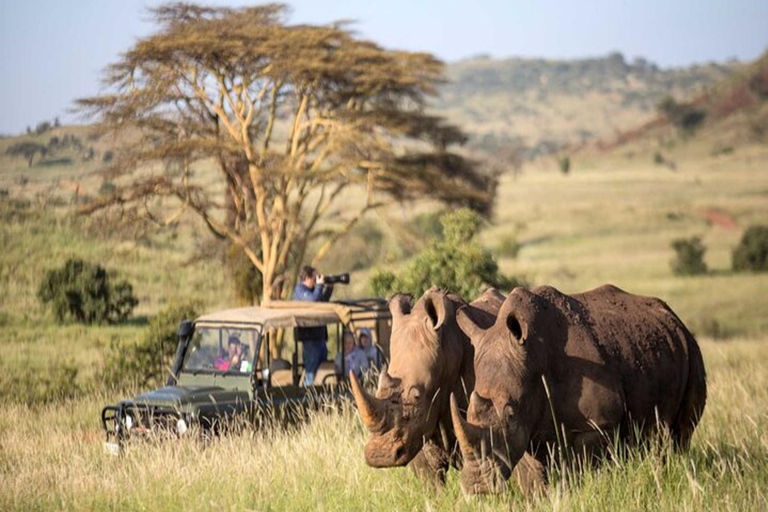 Nairobi: 2-dniowe safari na ranczu Solio z zakwaterowaniem