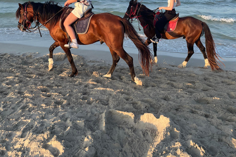 Djerba: Individual Horse Riding in the Blue Lagoon.