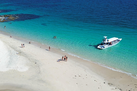 Panama City: Experience the best whale watching in Las Perlas Panama City: Experience the Best Whale Watching in Las Perlas