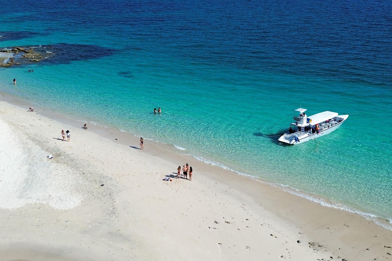 Panama City: Experience the best whale watching in Las Perlas Panama City: Experience the Best Whale Watching in Las Perlas