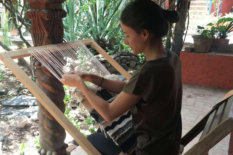 Learn the art of weaving with natural fibers in San José