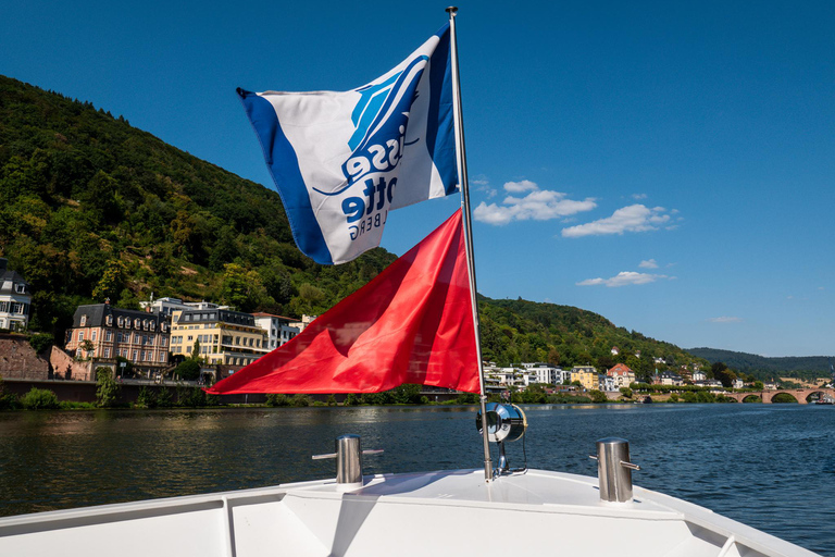 Heidelberg: Cruzeiro turístico pelo rio Neckar com uma bebidaHeidelberg: Cruzeiro turístico no rio Neckar