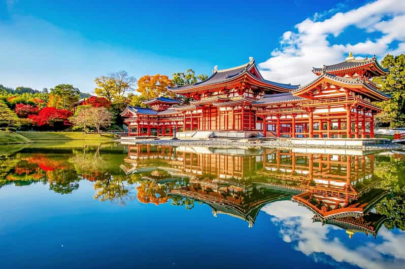 Osaka:Nara & Uji In-depth One-Day Tour丨Deer Feeding