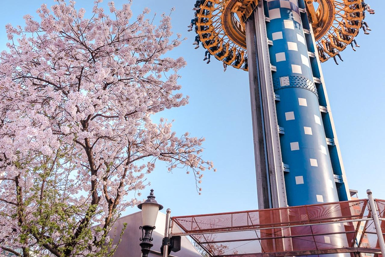 Seoul: biglietto d&#039;ingresso per Lotte World AdventureSeoul: biglietto d&#039;ingresso per il Lotte World Adventure