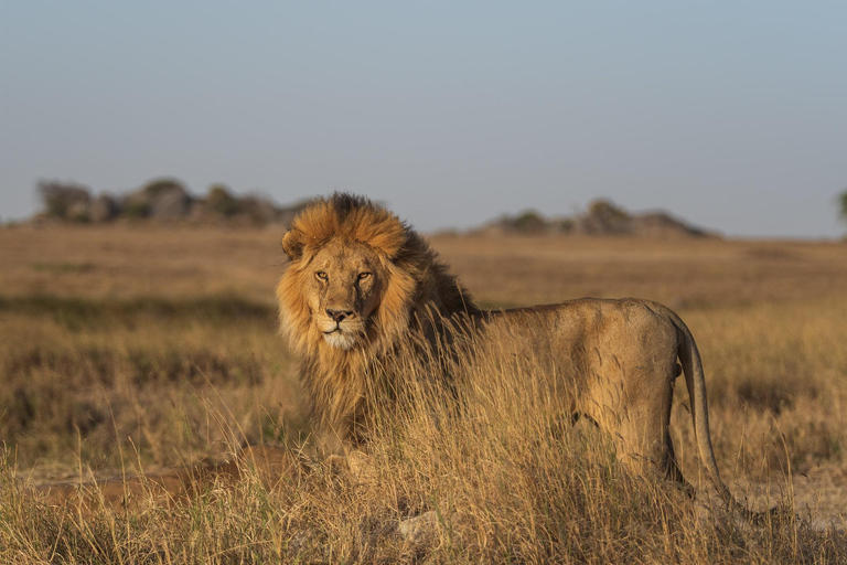 8-Day Group budget Safari Through Kenya and Tanzania