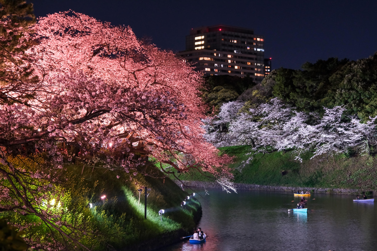 Tokyo: Cherry Blossom E-Bike Tour with Guide