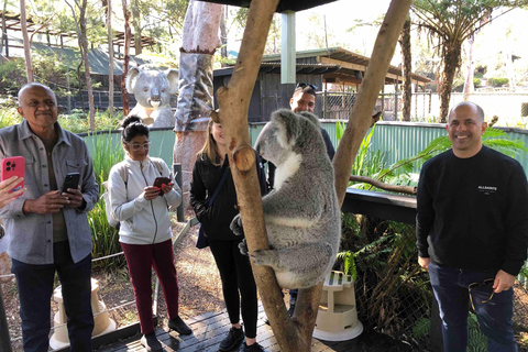 From Haymarket: Hunter Valley Wine and Wildlife Day Trip