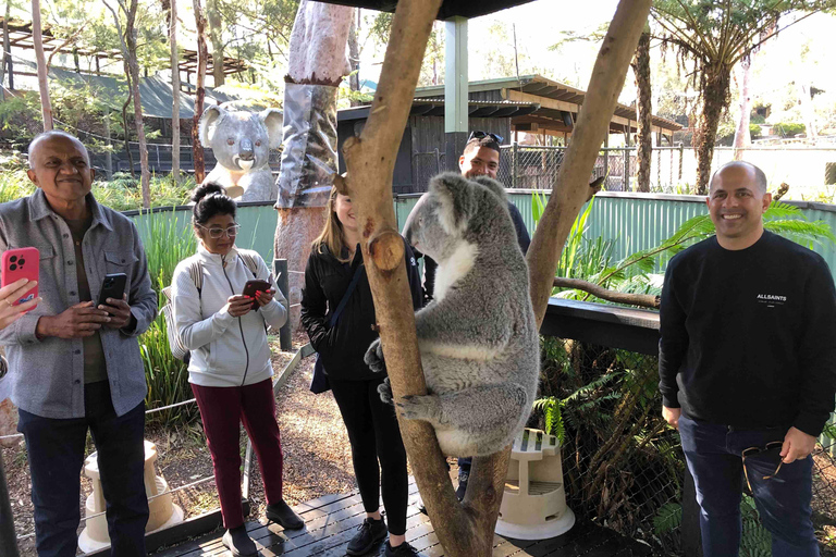 Från Haymarket: Hunter Valley dagstur med vin och vilda djur