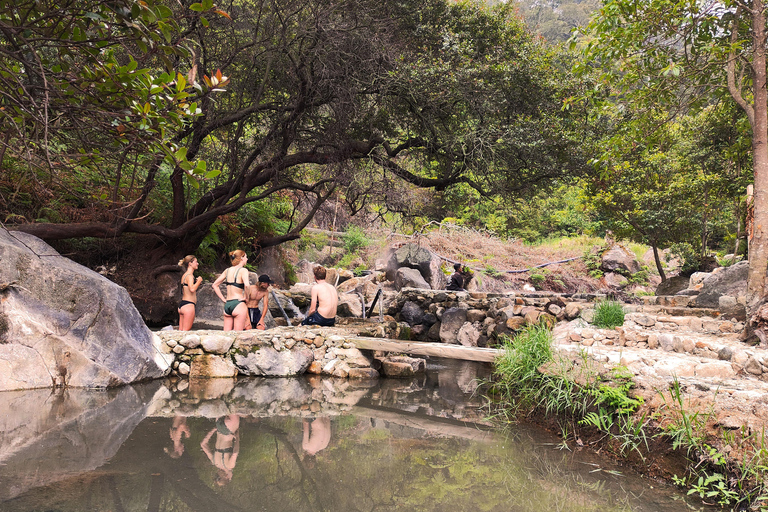 Bandung: White Crater, Scenic Tea Plantations & Hot Spring Open Tour: White Crater & Surroundings areas. with Tickets