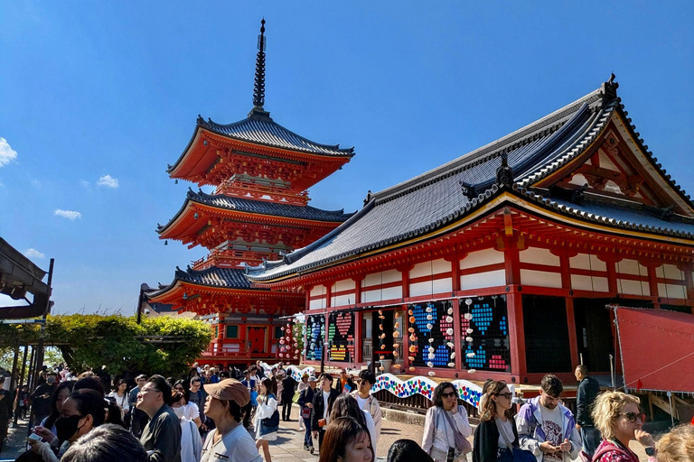 Kyoto/Nara: Must-see Spots in One Day Tour with Hotel Pickup