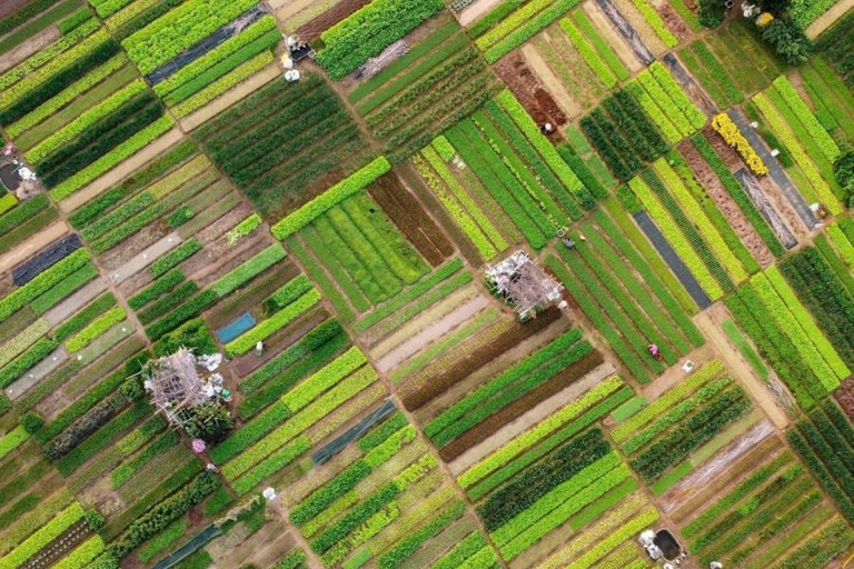 Hoi An: Tra Que Village Tour with Farming & Food