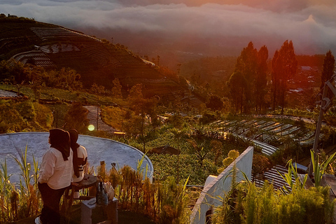 Magelang: Silancur Highland Sunrise & Sukomakmur Tour