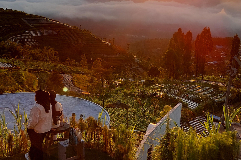 Magelang: Silancur Highland Sunrise & Sukomakmur Tour