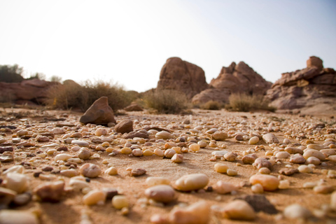 Wadi Rum: passeio de jipe de 8 horas, camelo, sandboard e almoçoPasseio compartilhado de jipe de 8 horas com passeio de camelo