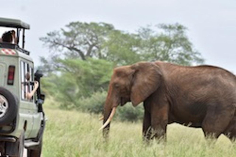 Safari de 4 jours à Tarangire, Manyara, Ngorongoro et Materuni