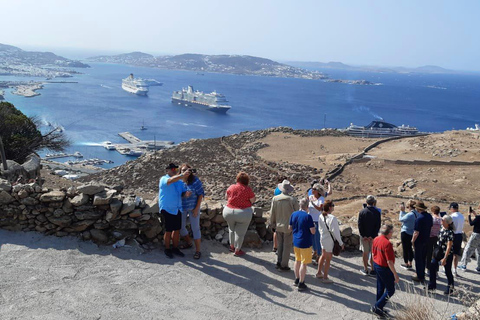 Highlights of Mykonos: Half-Day Tour Half-Day Public Tour