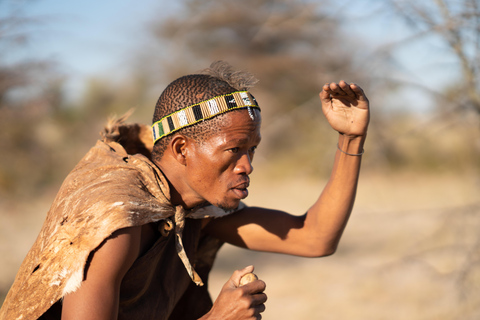 From Maun: 3-Day Makgadikgadi Salt Pans Safari Adventure