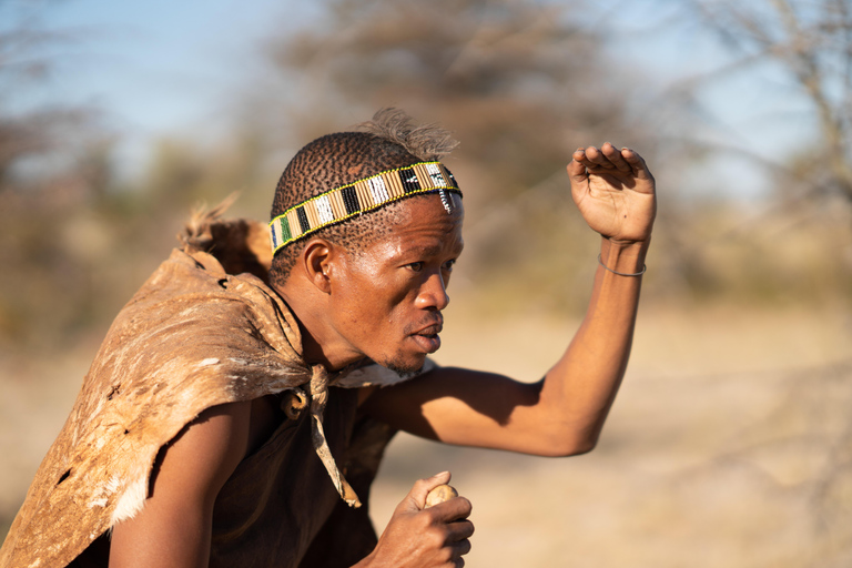 From Maun: 3-Day Makgadikgadi Salt Pans Safari Adventure