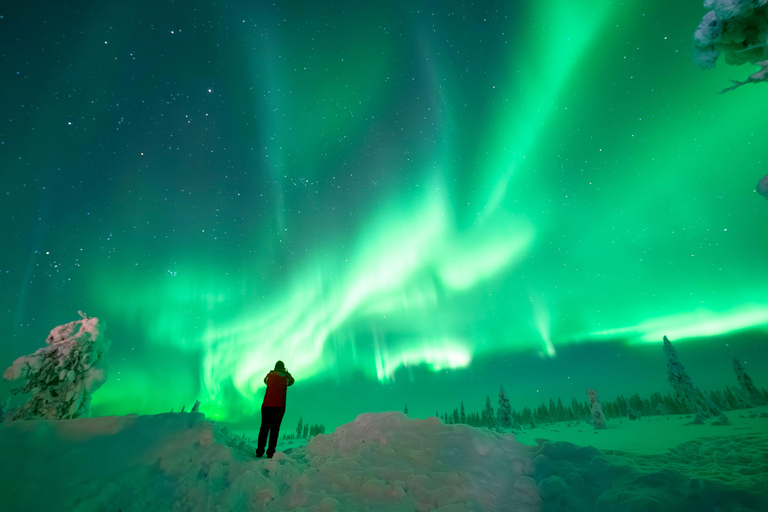 Rovaniemi: Guaranteed Northern Lights Photo Tour Guaranteed Northern Lights Photo Tour with Van (2-8 people)