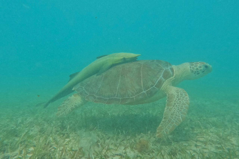 Fajardo: zeilcruise op catamaran met lunchFajardo: Janise catamaran zeilcruise met lunch