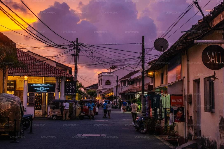 Sri Lanka: 12-tägige Abenteuertour durch die Landschaft