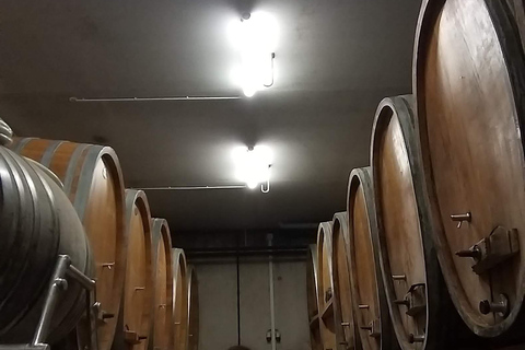 From Basel or Colmar: Baden-Württemberg Pinot Wine Tour