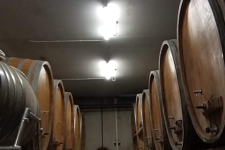 From Basel or Colmar: Baden-Württemberg Pinot Wine Tour