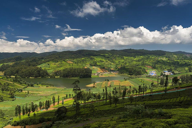 Exclusive, Bangalore with Ooty Hill Station Tour (04 Days)