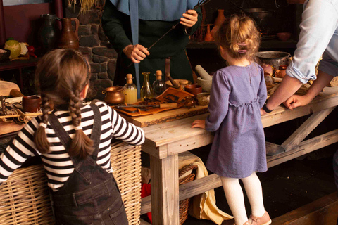 Dublin: Dublinia Viking and Medieval Museum Entry Ticket