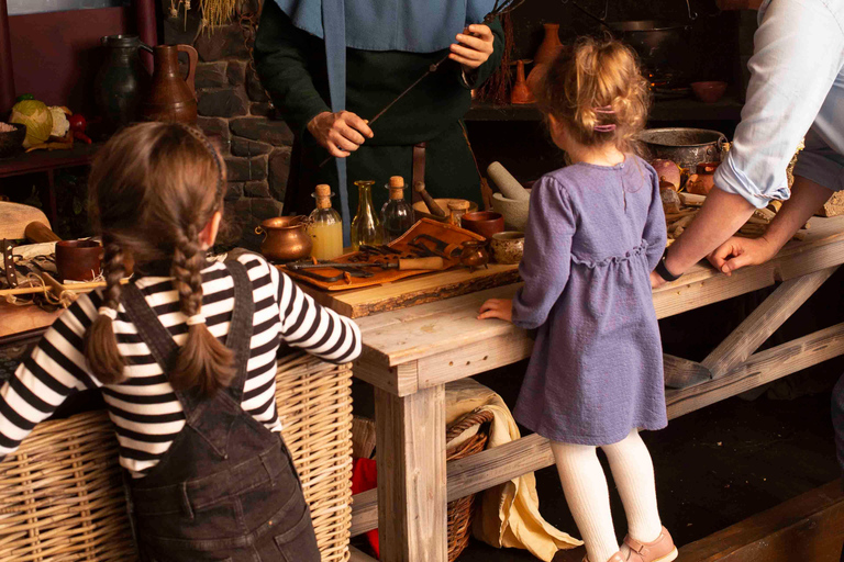 Dublin: Dublinia Viking and Medieval Museum Entry Ticket