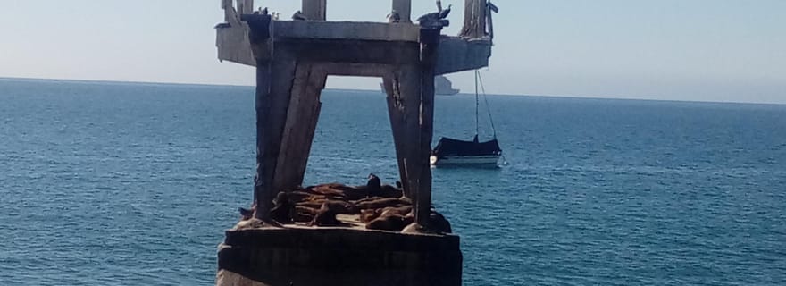 Marchés de Valparaíso : poisson frais, légumes et artisanat