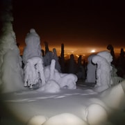 Ruka : randonnée nocturne en raquettes dans l'Arctique, étoiles et ciel du Nord