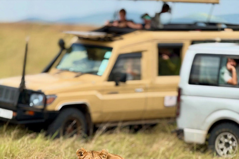 Diani/Mombasa: Private Tsavo East Day Safari in 4x4 Cruiser.