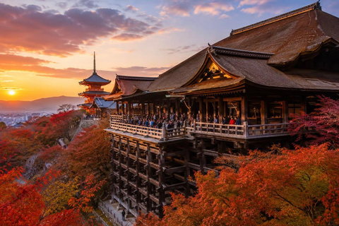 Kyoto Private Full-Day Guided Tour with Transfers