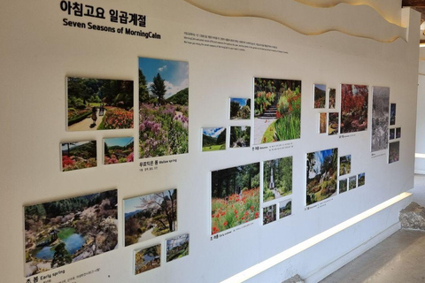 Seoul: Nami Island, Garden of Morning Calm, & Railbike Tour