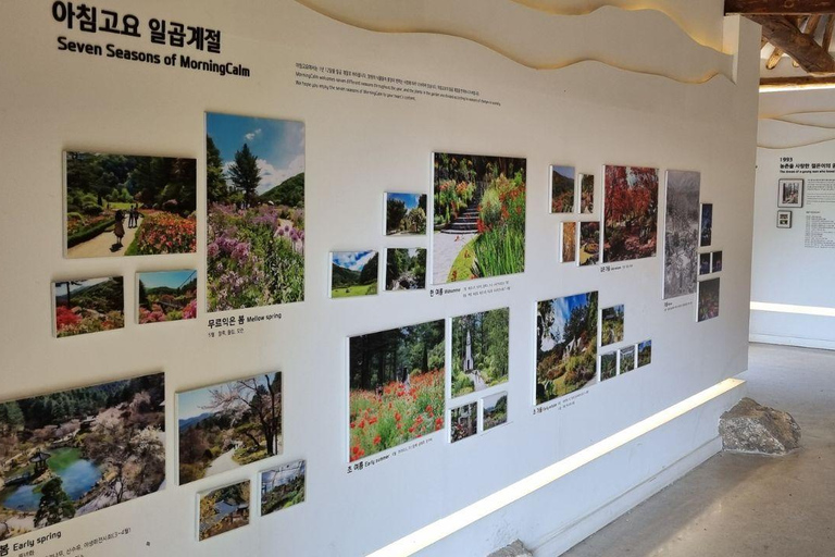 Seoul: Nami Island, Garden of Morning Calm, & Railbike Tour