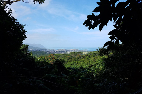 Ko’olau Waterfall Hike & Downhill Bike